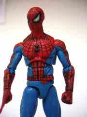 Hasbro Marvel Universe Spider-Man Action Figure