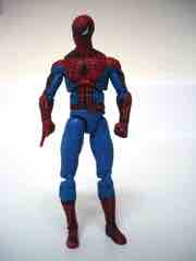 Hasbro Marvel Universe Spider-Man Action Figure