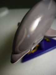 Darwin the Dolphin