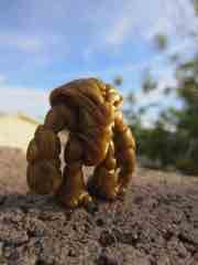 Onell Design Glyos Gold Crayboth Action Figure