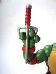 Playmates Teenage Mutant Ninja Turtles Classics Raphael Action Figure