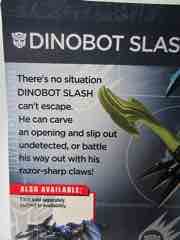 Hasbro Transformers Age of Extinction Dinobot Slash Action Figure