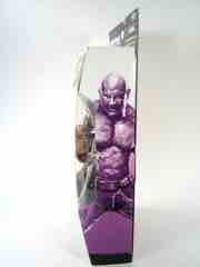 Hasbro Guardians of the Galaxy Marvel Legends Infinite Series Drax Action Figure