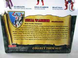 Mattel Masters of the Universe Classics Ninja Warrior Action Figure