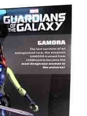 Hasbro Guardians of the Galaxy Marvel Legends Infinite Series Gamora Action Figure