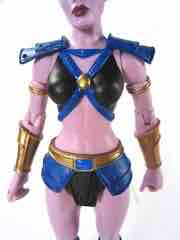 Mattel Masters of the Universe Classics Huntara Action Figure