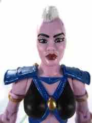 Mattel Masters of the Universe Classics Huntara Action Figure