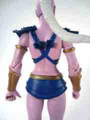 Mattel Masters of the Universe Classics Huntara Action Figure