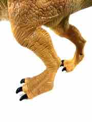 Hasbro Jurassic World Tyrannosaurus Rex Action Figure