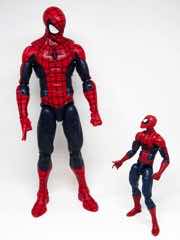 Hasbro Marvel Legends Series Spider-Man Action Figure