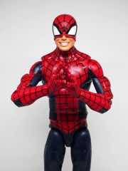 Hasbro Marvel Legends Series Spider-Man Action Figure