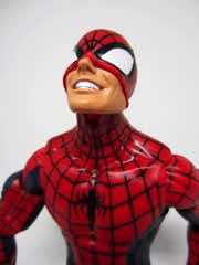 Hasbro Marvel Legends Series Spider-Man Action Figure