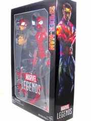 Hasbro Marvel Legends Series Spider-Man Action Figure