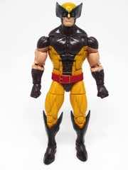 Hasbro Marvel Legends X-Men Wolverine Action Figure