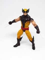 Hasbro Marvel Legends X-Men Wolverine Action Figure