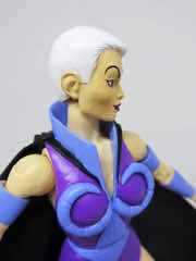 Mattel Masters of the Universe Classics Evil-Lyn Action Figure