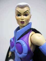 Mattel Masters of the Universe Classics Evil-Lyn Action Figure