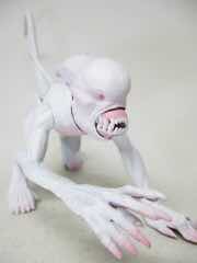 Aliens Classics Series Neomorph Alien Action Figure