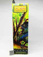 Lanard Toy Alien 7-Inch Warrior Xeno Action Figure