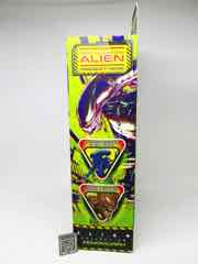 Lanard Toy Alien 7-Inch Warrior Xeno Action Figure