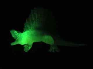 Glow-in-the-dark Dinosaurs Dimetrodon Action Figure