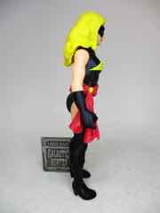 Hasbro Marvel Legends 375 Carol Danvers Action Figure