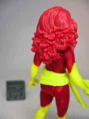 Hasbro Marvel Legends 375 Dark Phoenix Action Figure