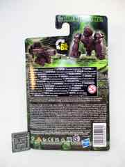 Hasbro Transformers Rise of the Beasts Beast Battle Masters Optimus Primal Figure