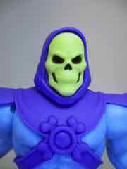 Mattel Turtles of Grayskull Masters of the Universe x Teenage Mutant Ninja Turtles Skeletor Action Figure