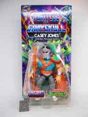 Mattel Masters of the Universe Origins x Teenage Mutant Ninja Turtles Turtles of Grayskull Casey Jones Action Figure