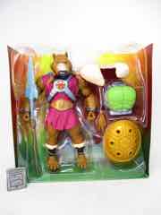 Mattel Turtles of Grayskull Splinter-Skull Action Figure