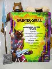 Mattel Turtles of Grayskull Splinter-Skull Action Figure