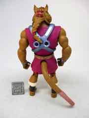 Mattel Turtles of Grayskull Splinter-Skull Action Figure