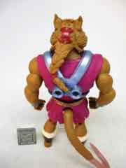 Mattel Turtles of Grayskull Splinter-Skull Action Figure