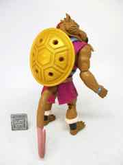 Mattel Turtles of Grayskull Splinter-Skull Action Figure