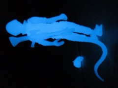 Healey Made Assassin (GID Blue) Action Figure