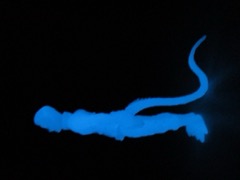 Healey Made Assassin (GID Blue) Action Figure