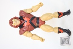 Mattel He-Man and the Masters of the Universe Cartoon Collection Grizzlor Action Figure