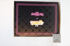 ThrillJoy Pix! Steven Universe Vinyl Figure