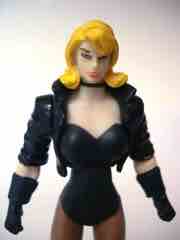 Mattel DC Universe Infinite Heroes Black Canary Action Figure