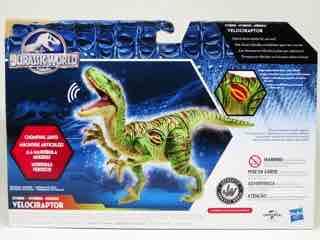 Hasbro Jurassic World Hybrid Velociraptor Action Figure