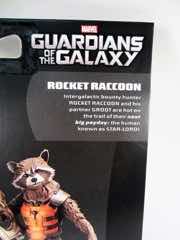 Hasbro Guardians of the Galaxy Marvel Legends Infinite Series Rocket Raccoon Action Figure
