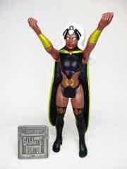 Hasbro Marvel Legends 375 Storm Action Figure