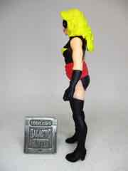 Hasbro Marvel Legends 375 Carol Danvers Action Figure