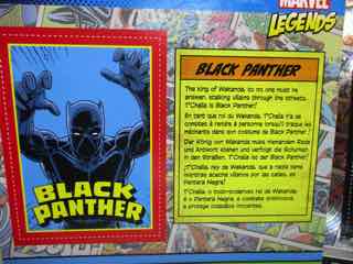 Hasbro Marvel Legends 375 Black Panther Action Figure