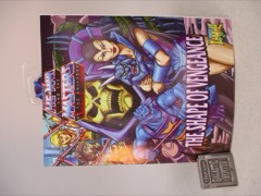 Mattel He-Man and the Masters of the Universe Cartoon Collection Evil-Lyn Action Figure
