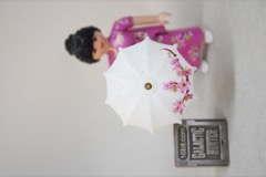 Playmobil 
