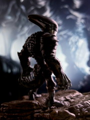 Something brown, something dandy